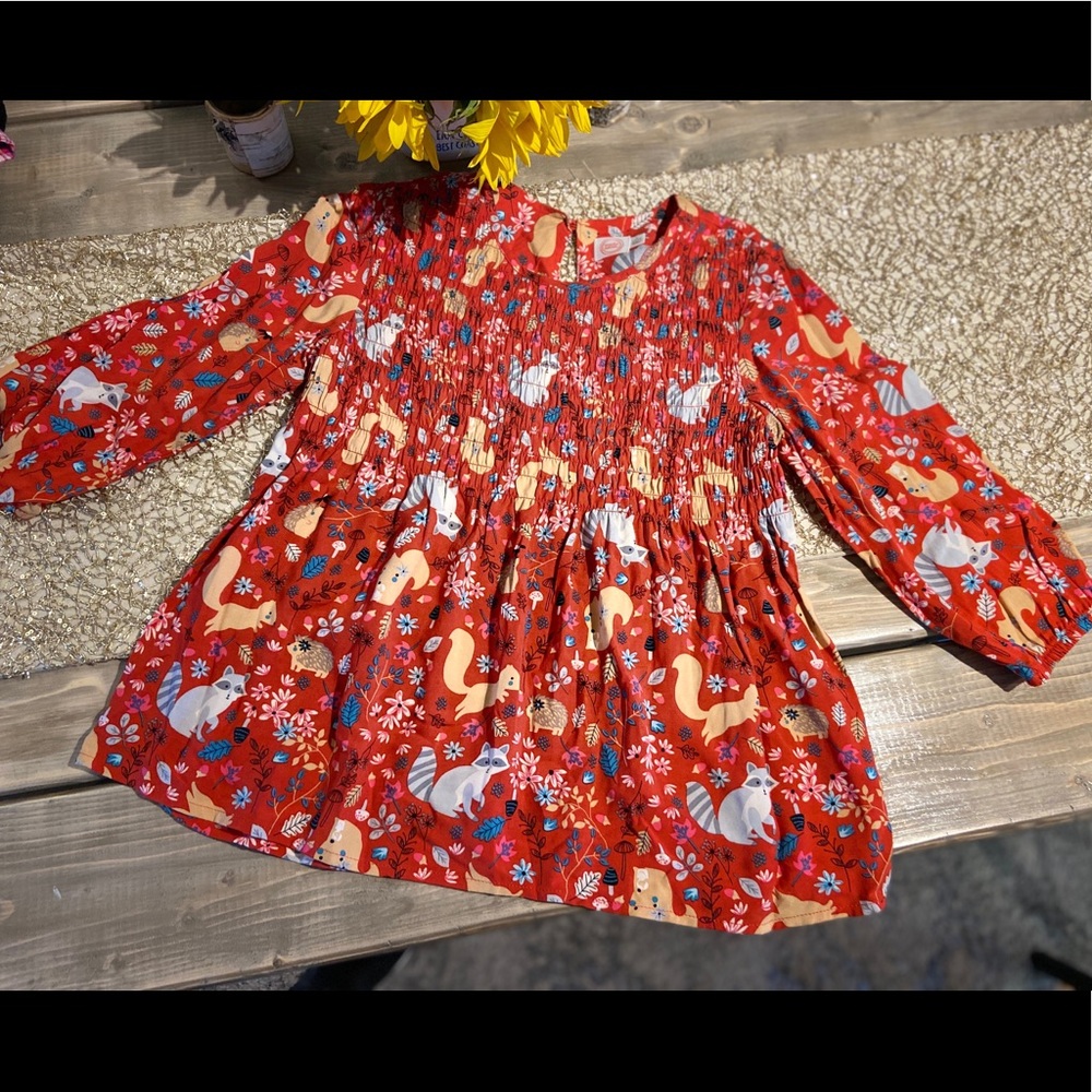 Girls Wonder Nation fitted swing top. Light weight. Cute autumn design.